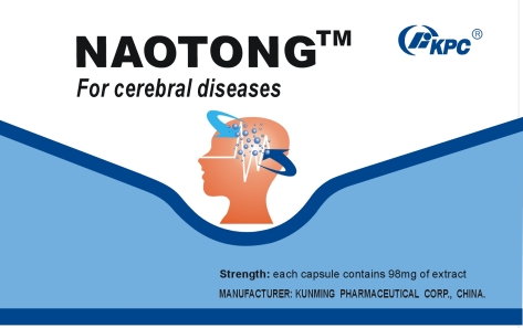 Dengyinnaotong Capsules