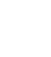 Panax Notoginseng